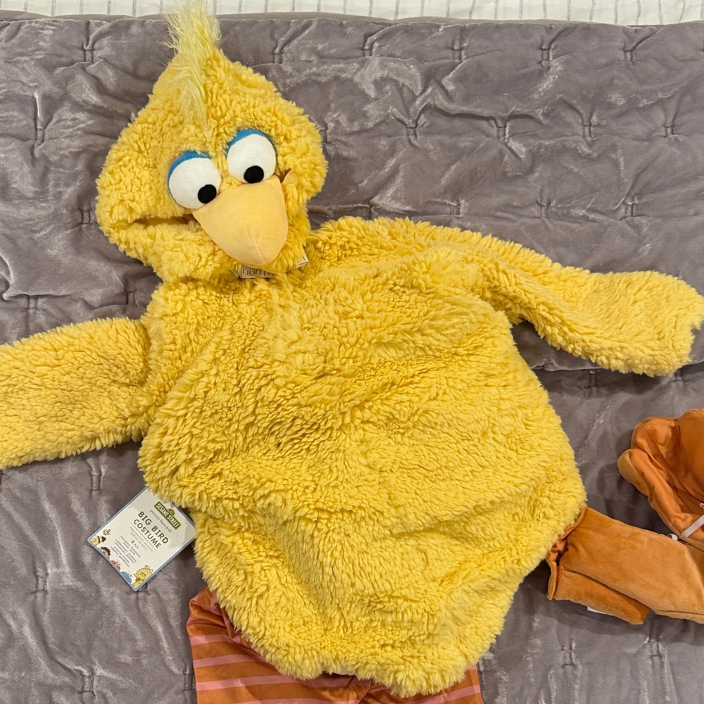 Pottery Barn Kids Yellow Bird Pet Costume